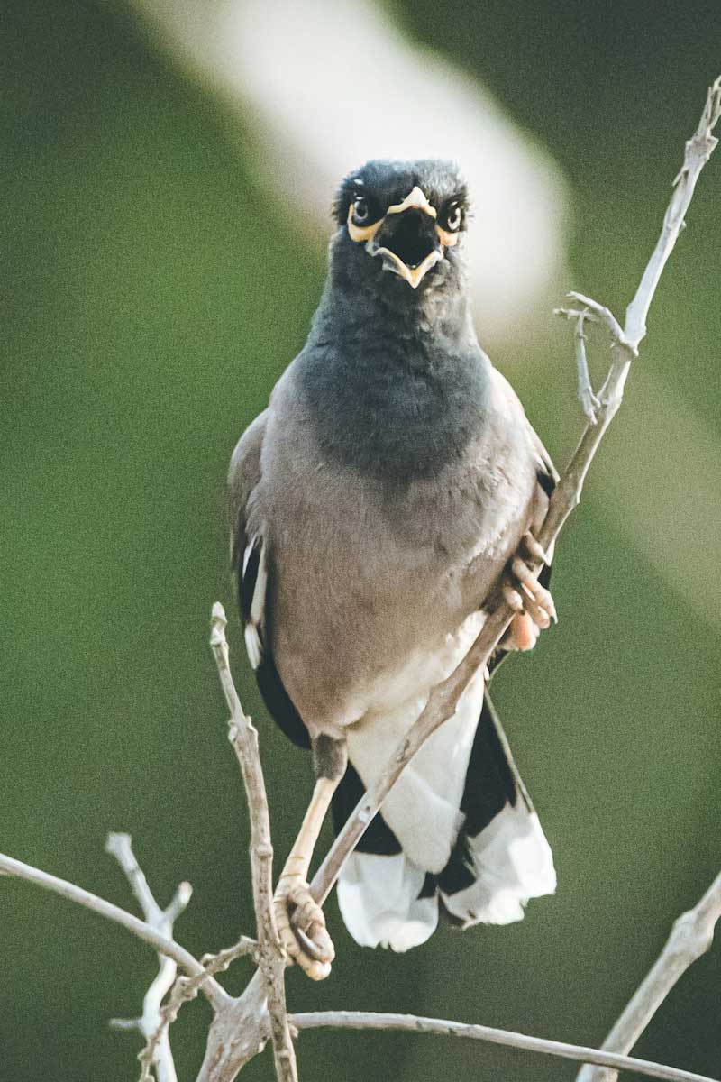 icon2-praxis-brigitte-schuler